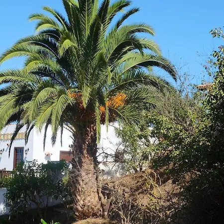 Apartament Charming In Silos, 80m² With Terrace Los Silos