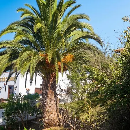 Charming In Silos, 80m² With Terrace Apartman *
