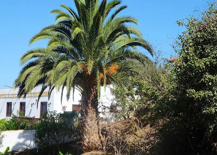 Appartement Charming In Silos, 80m² With Terrace Los Silos